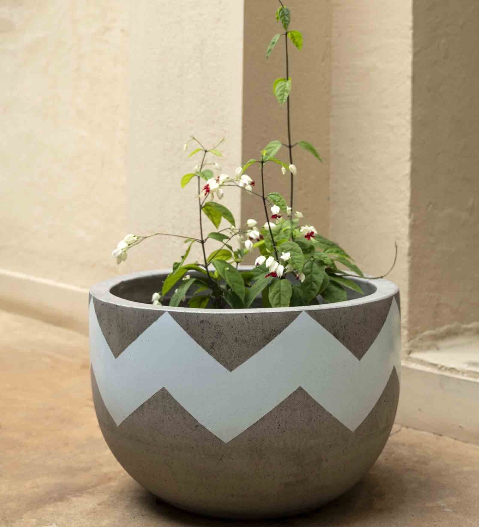 Buy Grey Concrete Fan Flare Large Floor Planter By Curiocasa By