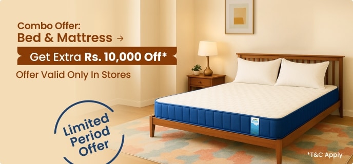 Furniture Store