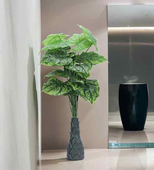 Green 3 Feet Tall Alocasia-Dg Artificial Plant