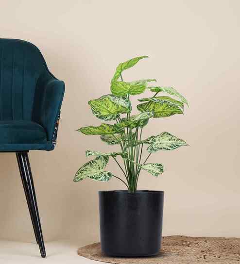Green Alocasia-Lg In Black Pot With White Stones Artificial Plant