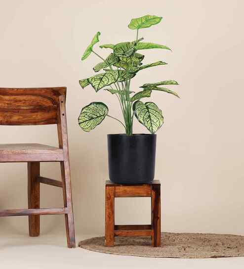 Green Caladium In Black Pot With White Stones Artificial Plant