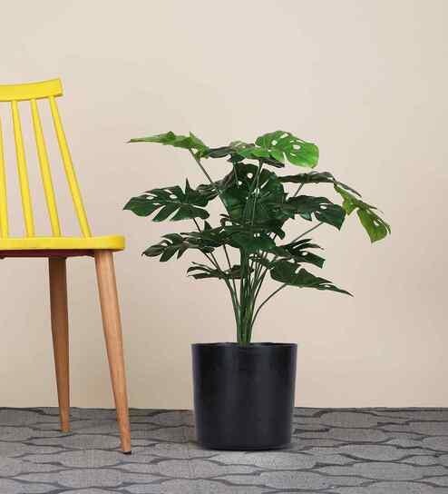Green Monstera In Black Pot With White Stones Artificial Plant