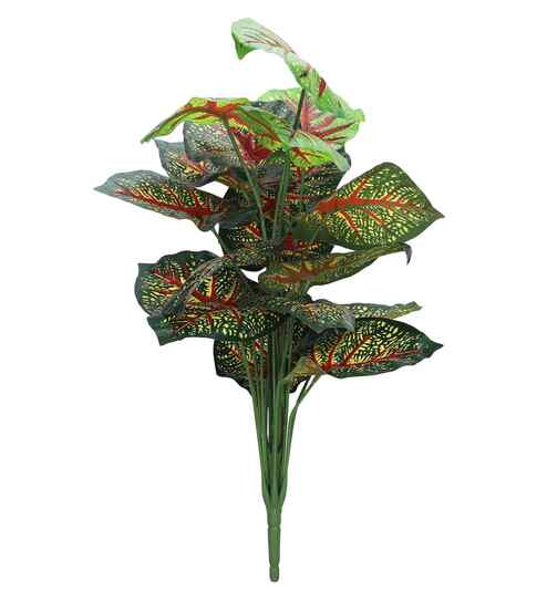 Green Red Caladium In Black Pot With White Stones Artificial Plant