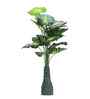 Green 3 Feet Tall Money Plant-2 Artificial Plant