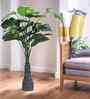Green 3 Feet Tall Money Plant Artificial Plant