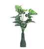 Green 3 Feet Tall Money Plant-W Artificial Plant