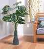 Green 3 Feet Tall Money Plant-Y Artificial Plant