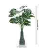 Green 3 Feet Tall Money Plant-Y Artificial Plant