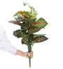 Green 3 Feet Tall Red Caladium Artificial Plant