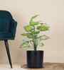 Green Alocasia-Lg In Black Pot With White Stones Artificial Plant
