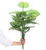 Green Caladium In Black Pot With White Stones Artificial Plant