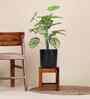 Green Caladium In Black Pot With White Stones Artificial Plant