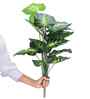 Green Money Plant-2 In Black Pot With White Stones Artificial Plant