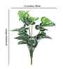 Green Money Plant-W In Black Pot With White Stones Artificial Plant