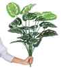 Green Money Plant-W In Black Pot With White Stones Artificial Plant