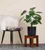 Green Money Plant-Y In Black Pot With White Stones Artificial Plant