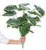 Green Money Plant-Y In Black Pot With White Stones Artificial Plant