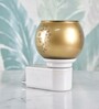 Golden Plug-In Radhe Electric Diffuser