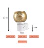 Golden Plug-In Radhe Electric Diffuser