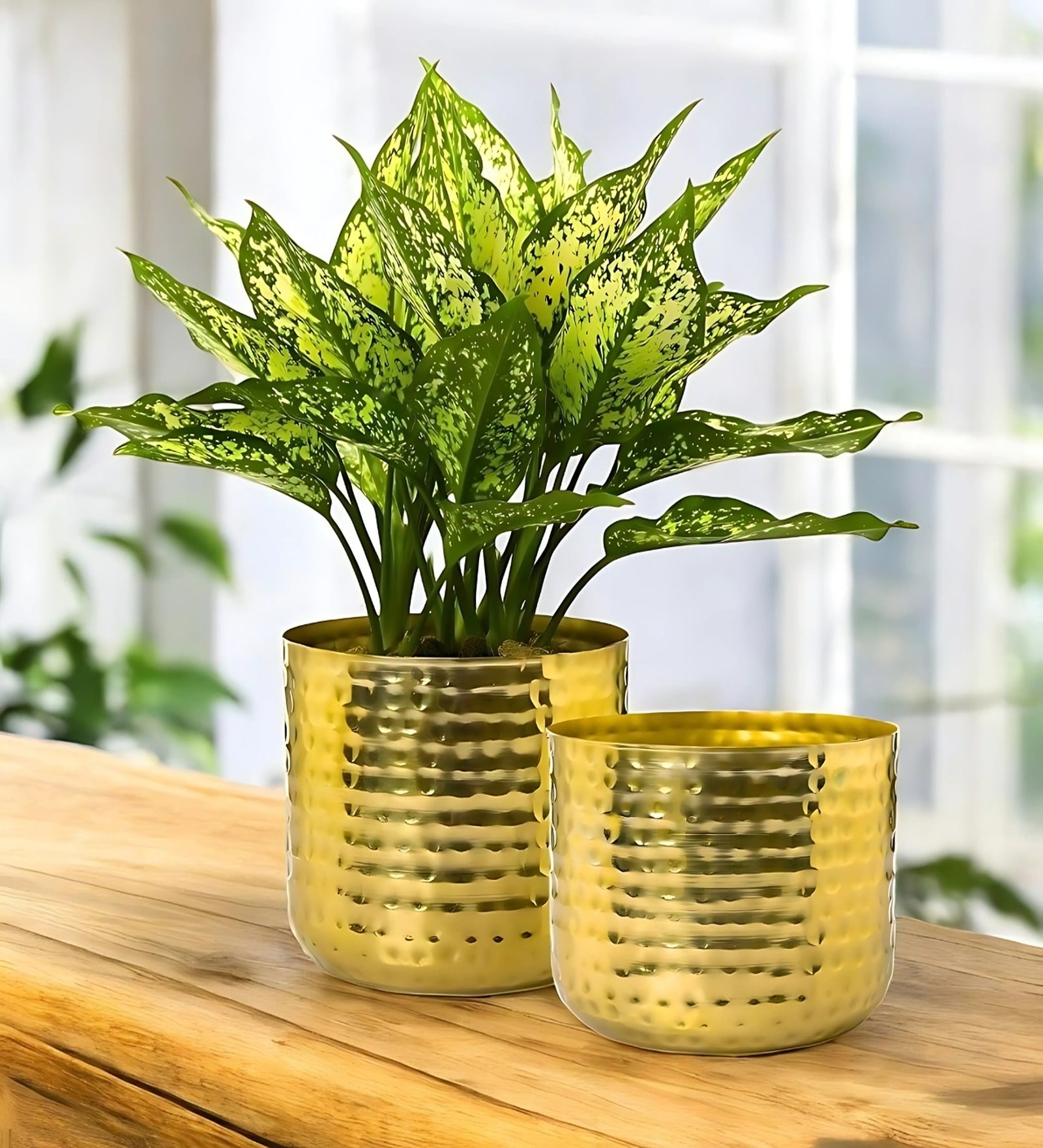 Pack Of 2 Gold Ivara Desk Pots