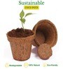 Pack Of 10 Brown Coconut Husk Biodegradable Plant Care