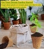 Pack Of 10 Brown Coconut Husk Biodegradable Plant Care
