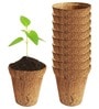 Pack Of 10 Brown Coconut Husk Biodegradable Plant Care