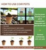 Pack Of 10 Brown Coconut Husk Biodegradable Plant Care