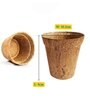 Pack Of 10 Brown Coconut Husk Biodegradable Plant Care
