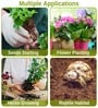 Pack Of 10 Brown Coconut Husk Cocopeat