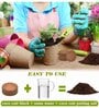 Pack Of 10 Brown Coconut Husk Cocopeat