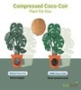 Pack Of 10 Brown Coconut Husk Cocopeat