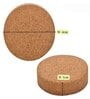 Pack Of 10 Brown Coconut Husk Cocopeat