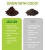 Pack Of 10 Brown Coconut Husk Cocopeat