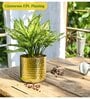 Pack Of 2 Gold Ivara Desk Pots