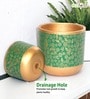 Pack Of 2 Green Terracotta Desk Pots