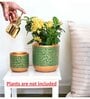 Pack Of 2 Green Terracotta Desk Pots