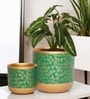 Pack Of 2 Green Terracotta Desk Pots
