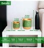 Pack Of 2 Green Terracotta Desk Pots
