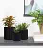 Pack Of 3 Black Metal Planter