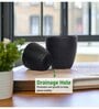 Pack Of 3 Black Terracotta Desk Pots