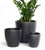 Pack Of 3 Black Terracotta Desk Pots
