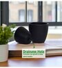 Pack Of 3 Black Terracotta Desk Pots