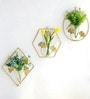 Pack Of 3 Leaf Gold Minimalic Wall Planters