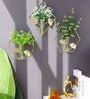 Pack Of 3 Leaf Gold Minimalic Wall Planters