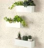 Pack Of 3 White Rectangular Wall Planters