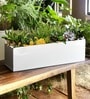 Pack Of 3 White Rectangular Wall Planters