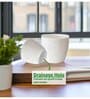Pack Of 3 White Terracotta Desk Pots