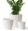 Pack Of 3 White Terracotta Desk Pots
