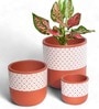 Pack Of 3 White Terracotta Desk Pots